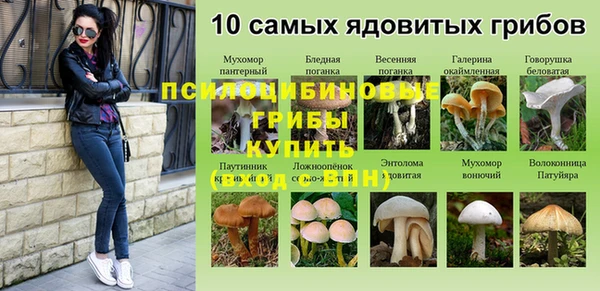спайс Алексеевка