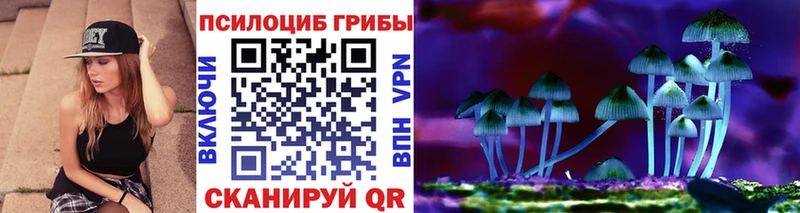 kraken зеркало  магазин    Нижнеудинск  Псилоцибиновые грибы MAGIC MUSHROOMS 