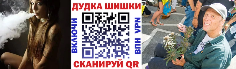 купить  сайты  Нижнеудинск  Бошки марихуана сатива 